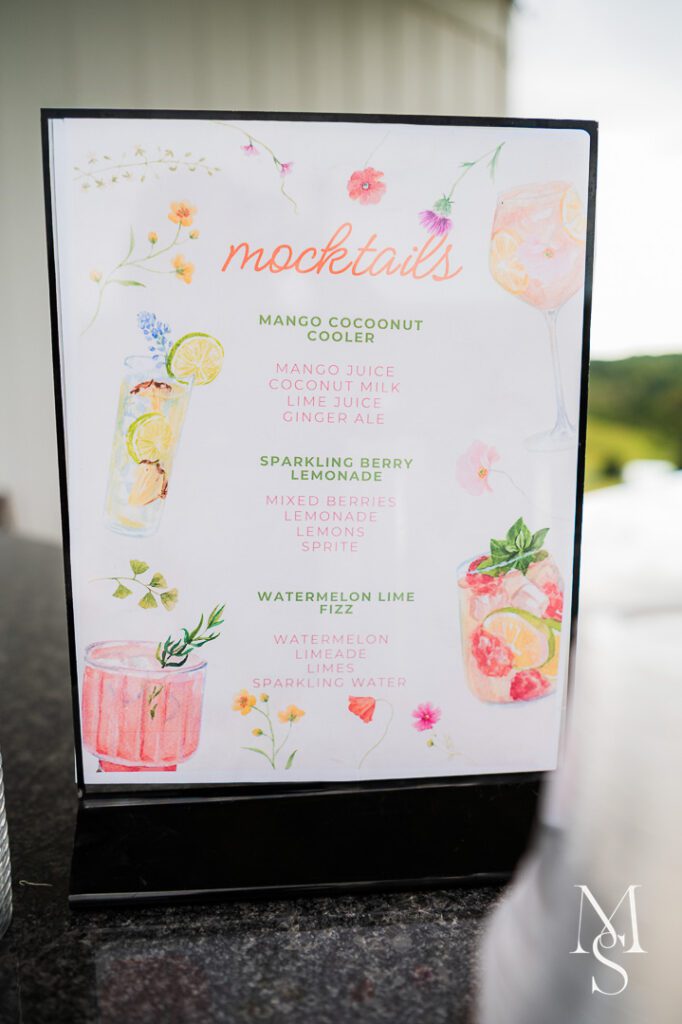 Nana mac meadows pinnacle nc wedding photography by maria sollecito 0029