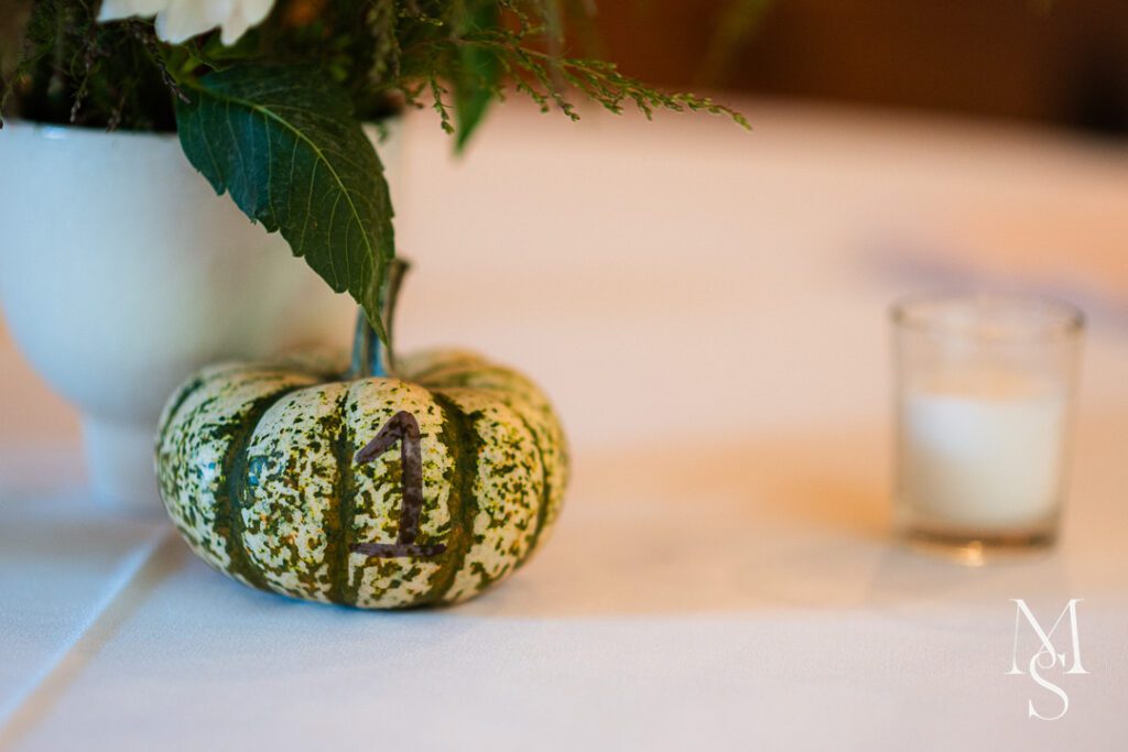 Rigmor house chapel hill nc wedding photography by maria sollecito 0003