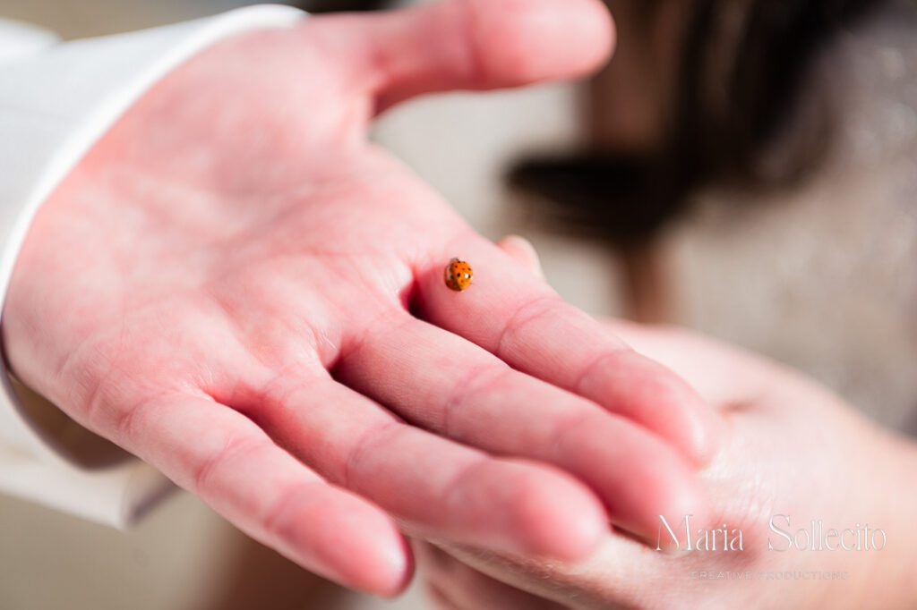 Bakery 1818 Madison NC Wedding Photography by Maria Sollecito